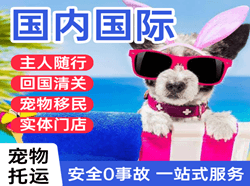 徐州观音机场快递国际宠物托运 【国
